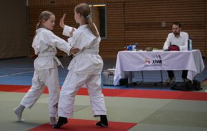 Read more about the article Gürtelprüfungen bestanden!